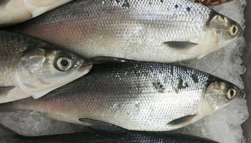 フィリピン セブの魚 日本人の口に合う料理を紹介します セブ移住生活 ツッチーブログ