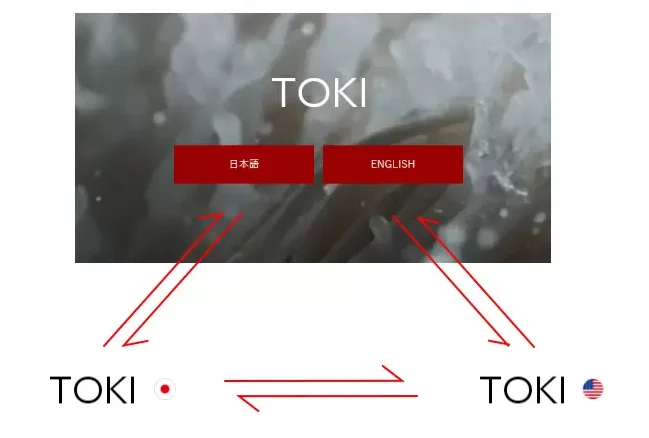 TCD-TOKI